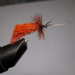 ���� Goddard Caddis Orange Kumho � 12